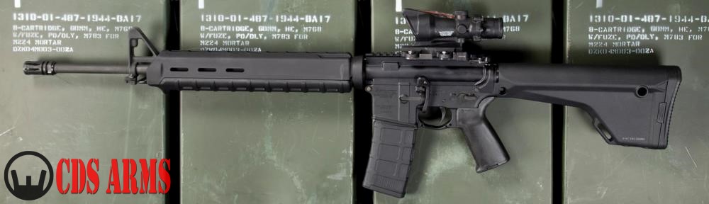 CDS ARMS / FREEDOM SECURITY