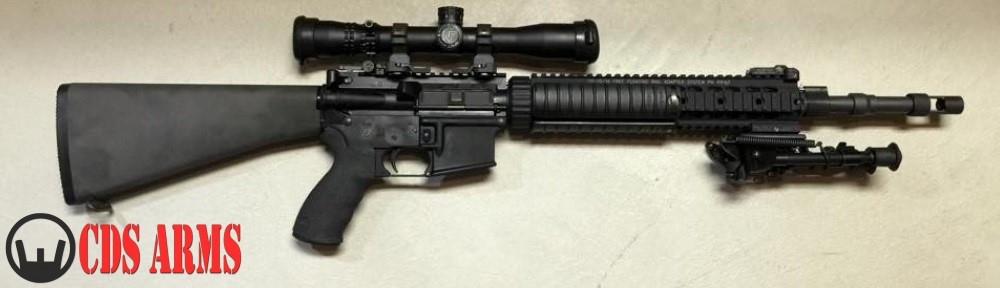 CDS ARMS / FREEDOM SECURITY