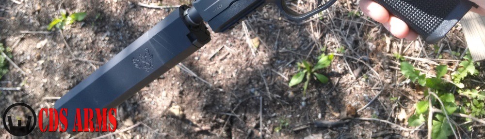 CDS ARMS / FREEDOM SECURITY