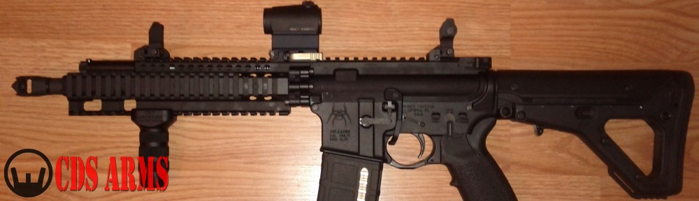 CDS ARMS / FREEDOM SECURITY