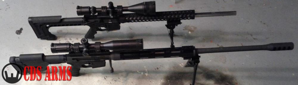 CDS ARMS / FREEDOM SECURITY