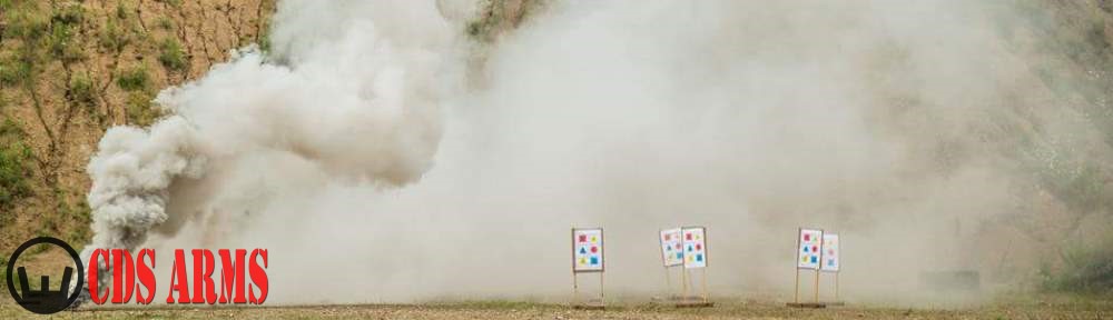 CDS ARMS / FREEDOM SECURITY